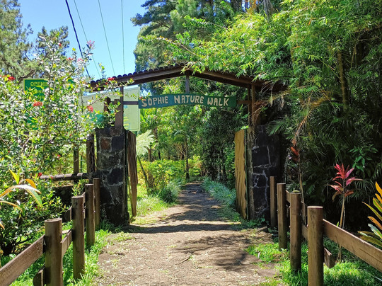 Sophie Nature Walk-Vacoas必去景点