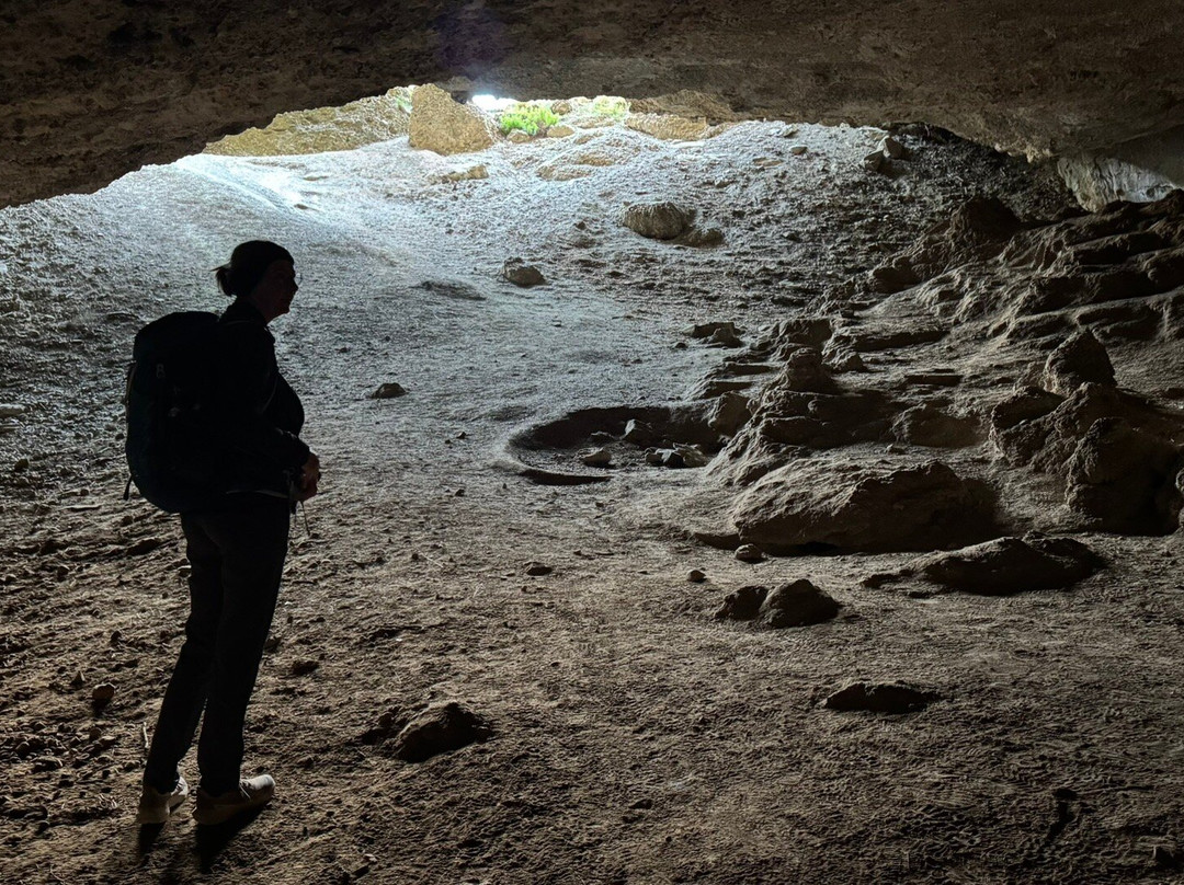 Cueva del Milodon-纳塔莱斯港必去景点