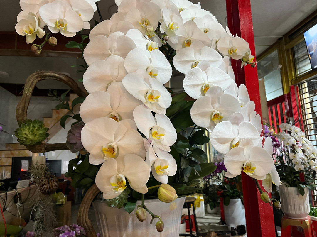 Saigon On Motorbike-胡志明市必去景点