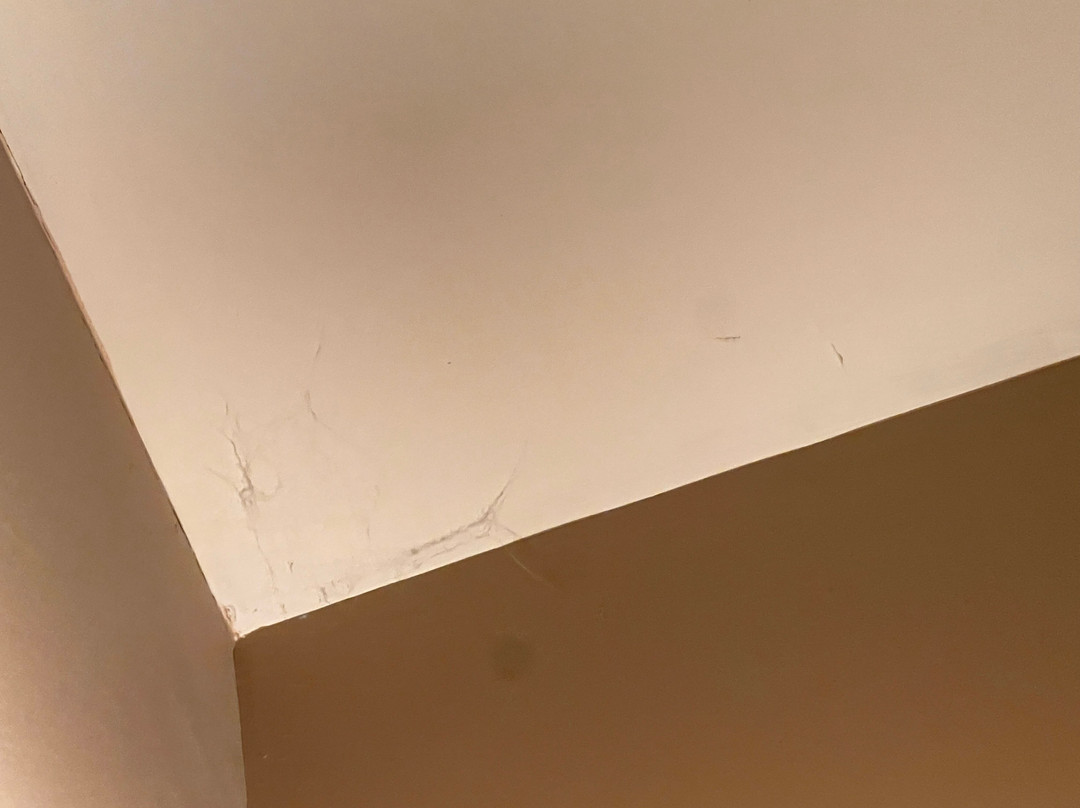 兰开斯特普瑞米尔酒店主图