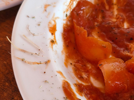 Barra Mar Beach Club-Maragogi必去景点