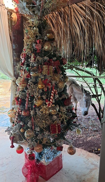 Las Puertas Del Paraiso主图