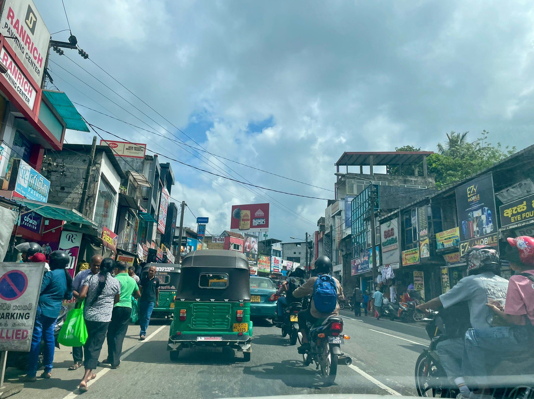 Sri Lankan Safest Driver-Padukka必去景点