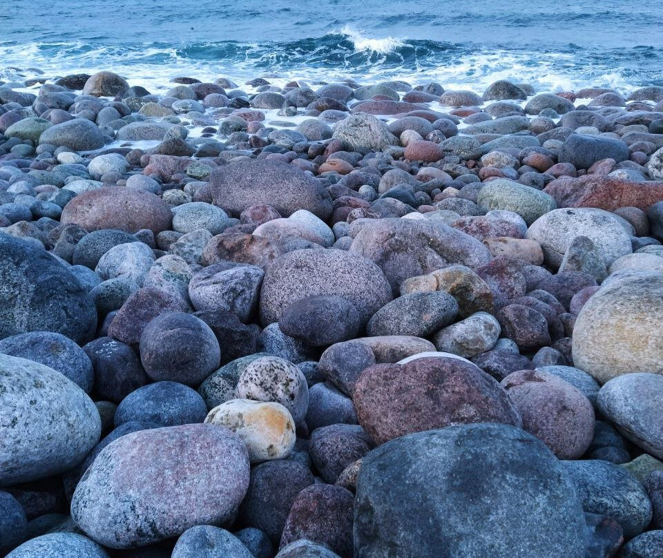 Arctic Safari-摩尔曼斯克必去景点