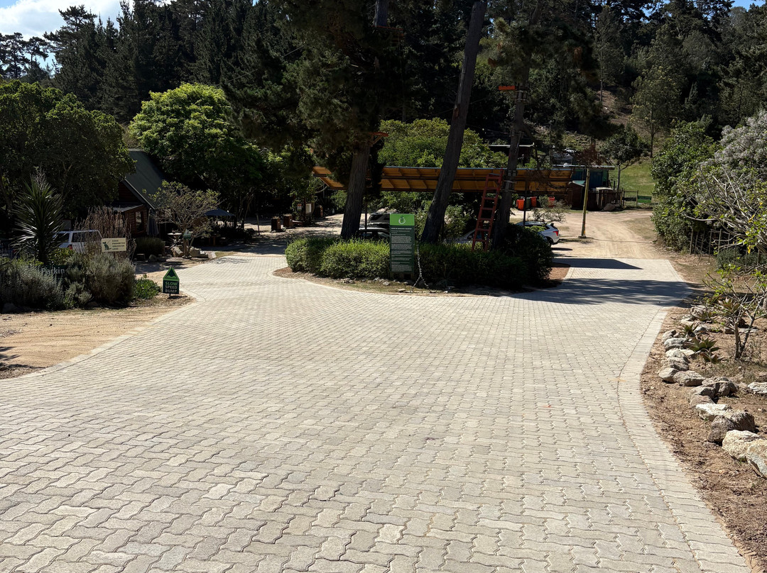 Timberlake Village-荒野必去景点