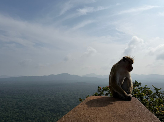 The Visit Lanka Tours-科伦坡必去景点