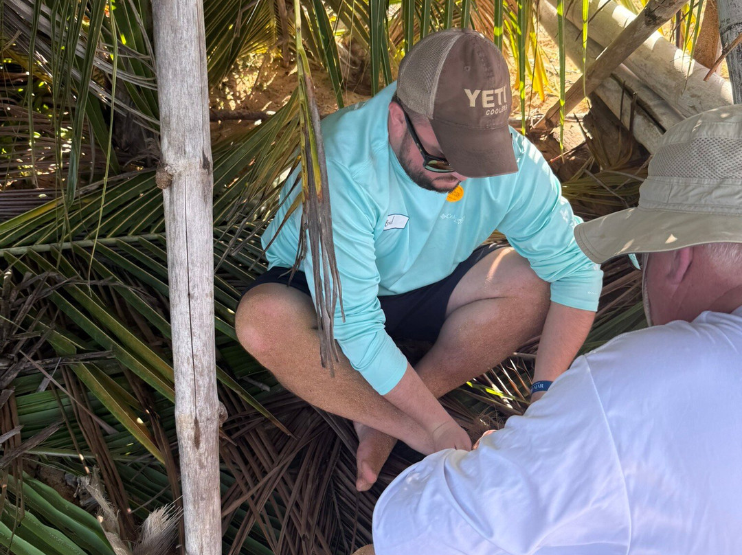 Coconut Revolution 101-圣胡安必去景点