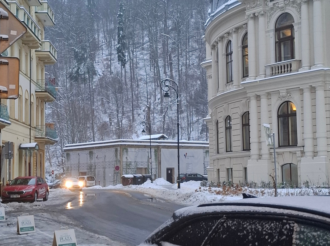 卡尔斯巴德广场酒店主图