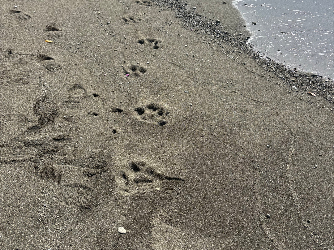 Oropopo Experience-圣何塞必去景点