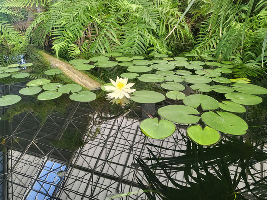 North Carolina Aquarium at Fort Fisher-Kure Beach必去景点