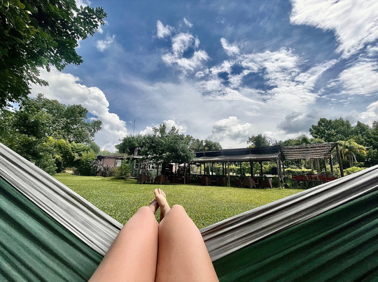 Senador Dupont主图