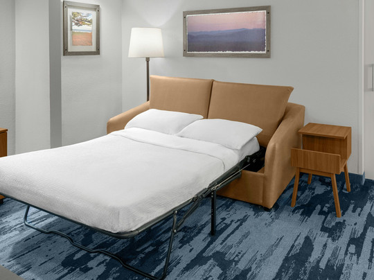 Fairfield by Marriott Inn & Suites San Francisco San Carlos主图