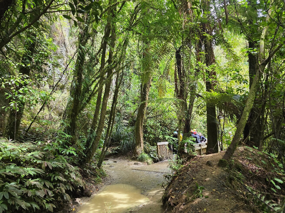 Ruakuri Walk-怀托摩洞穴必去景点