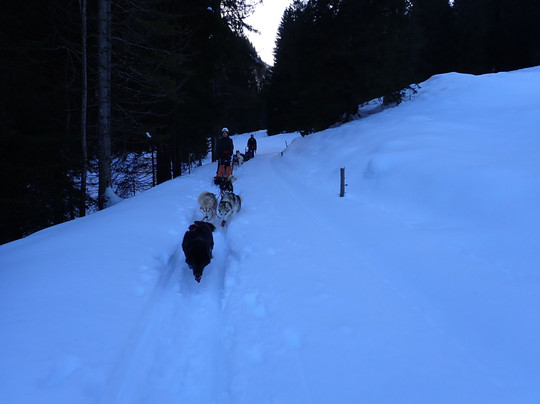 Fischer Adventures Day Tours-圣加仑必去景点