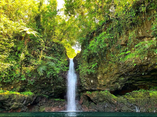 Coconut Tours & Transport Samoa-Vaitele必去景点