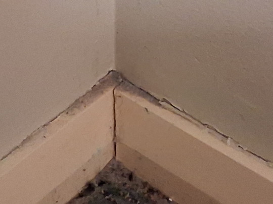 Green Gables Motel主图