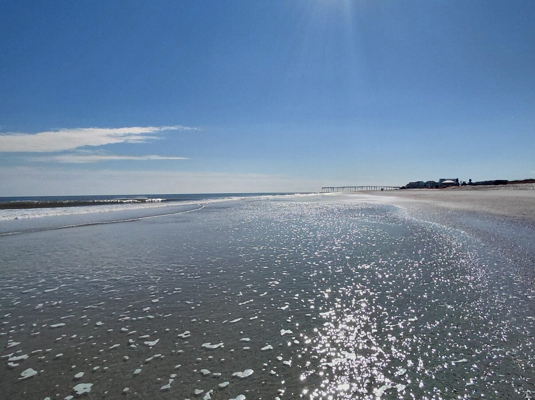 Freeman Park-卡罗来纳比奇必去景点