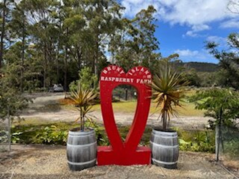 Bruny Island Raspberry Farm