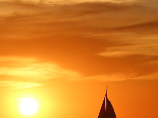 Rent a Golf Cart Costa Rica-波特雷罗必去景点