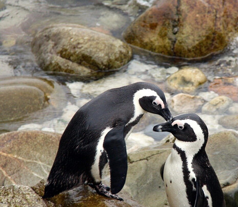 eXplora expedition-斯泰伦博斯必去景点