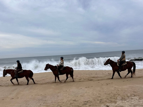 Sea Horse Ranch-半月湾必去景点