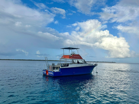 Wannadive Bonaire-Kralendijk必去景点