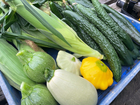 アグリスケープ