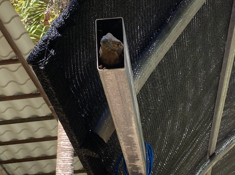 Congo Canopy Tours-Artola必去景点