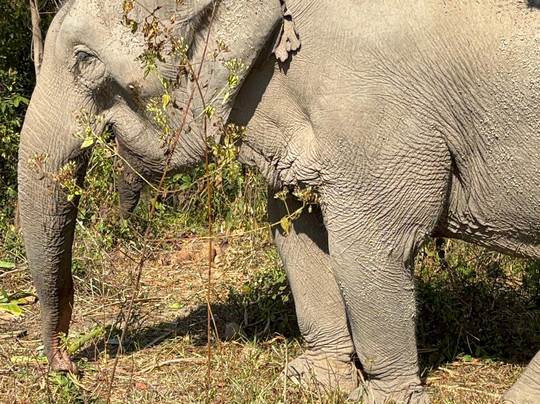 Chang Chill-Mae Win必去景点