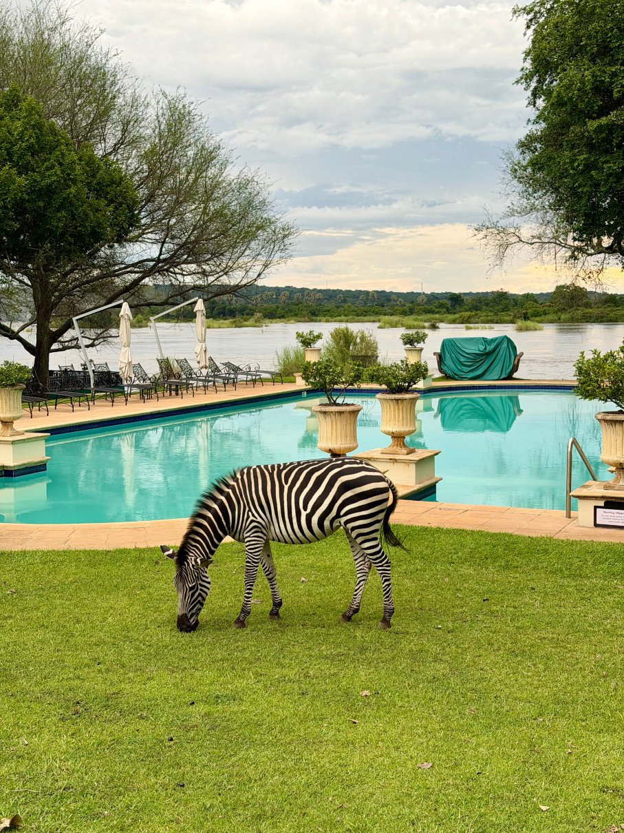 赞比亚维多利亚瀑布皇家利文斯通酒店-安纳塔拉-浴室