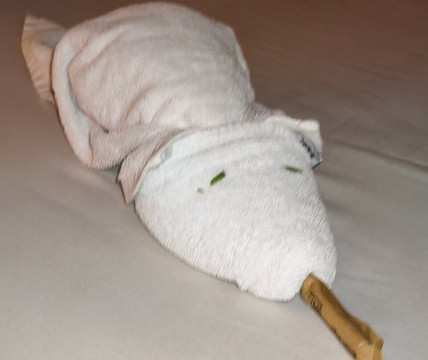 JAZ Fanara Residence主图