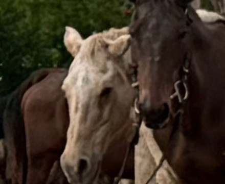 Chukka Seville Outpost-Priory必去景点