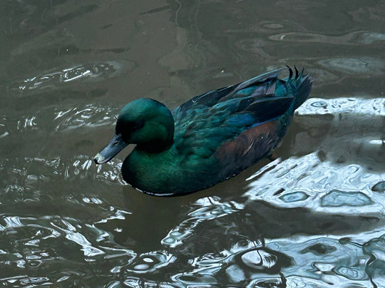 Potter's World-Lanchester必去景点