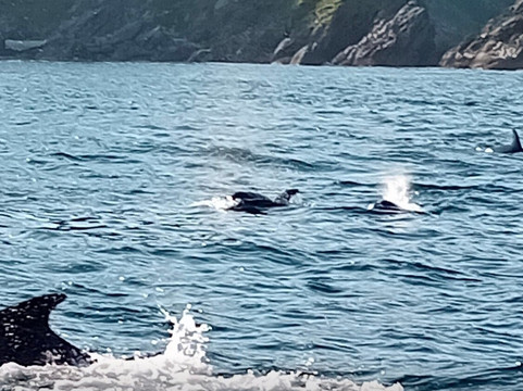 True North Boating-Culdaff必去景点