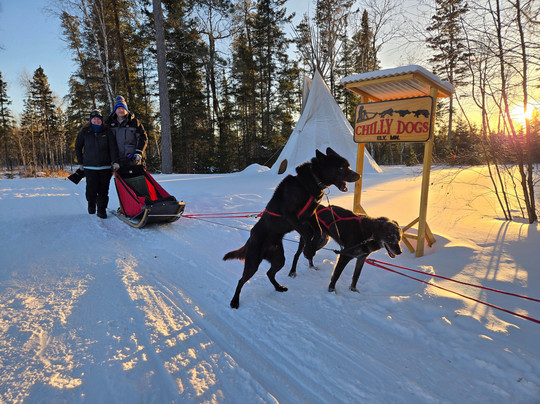 Chilly Dogs Sled Dog Trips-伊利必去景点