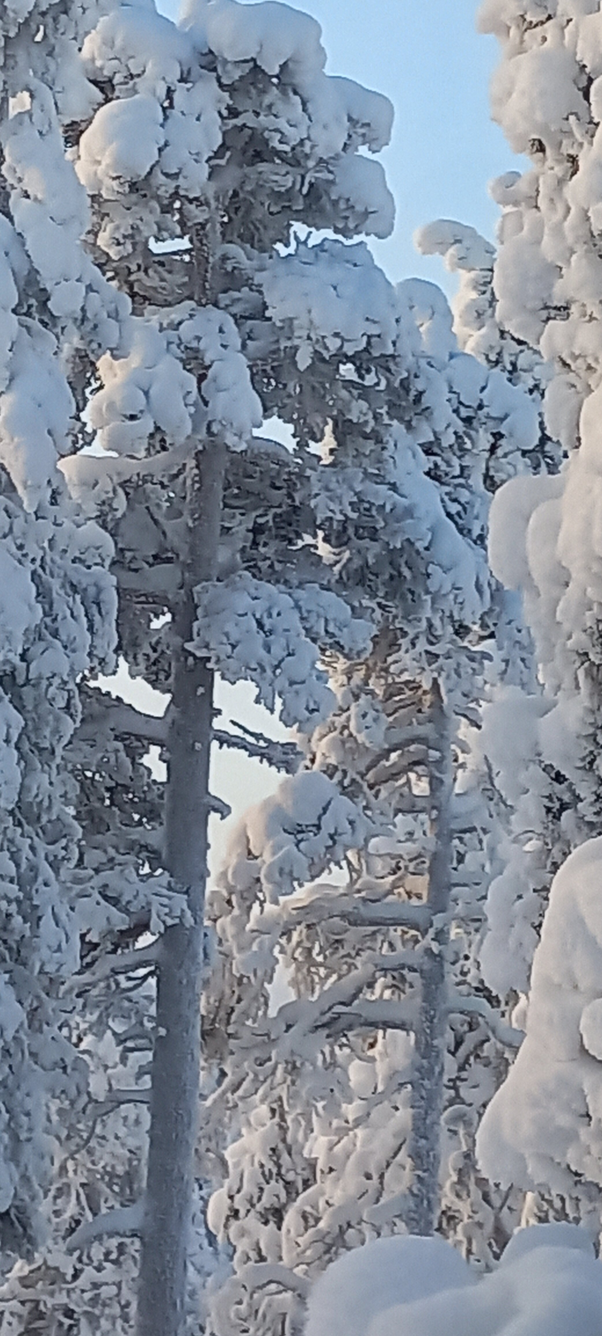 伊瓦洛酒店-官方