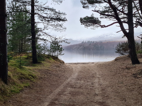 Ardverikie Estate-Kinlochlaggan必去景点