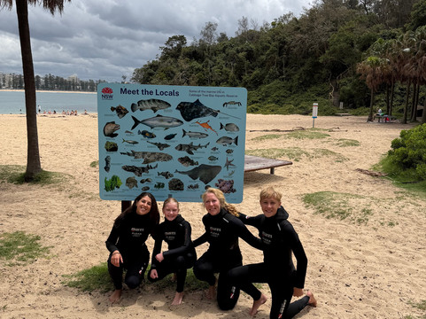 Pro Dive Manly-Brookvale必去景点