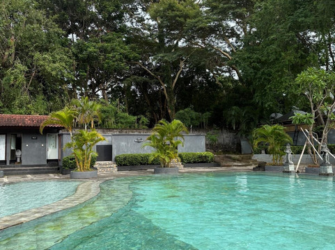 Menjangan Bali Driver Guide-佩母德兰必去景点