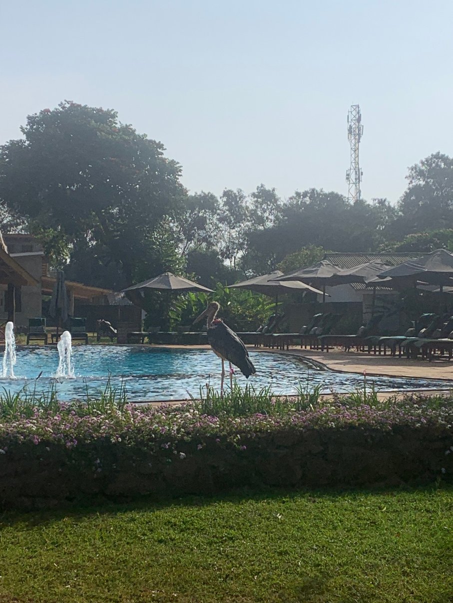 Ameg Lodge Kilimanjaro-泳池