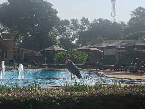 Ameg Lodge Kilimanjaro主图