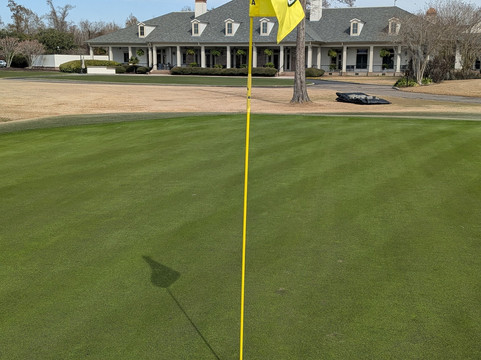 Tpc Louisiana-Avondale必去景点