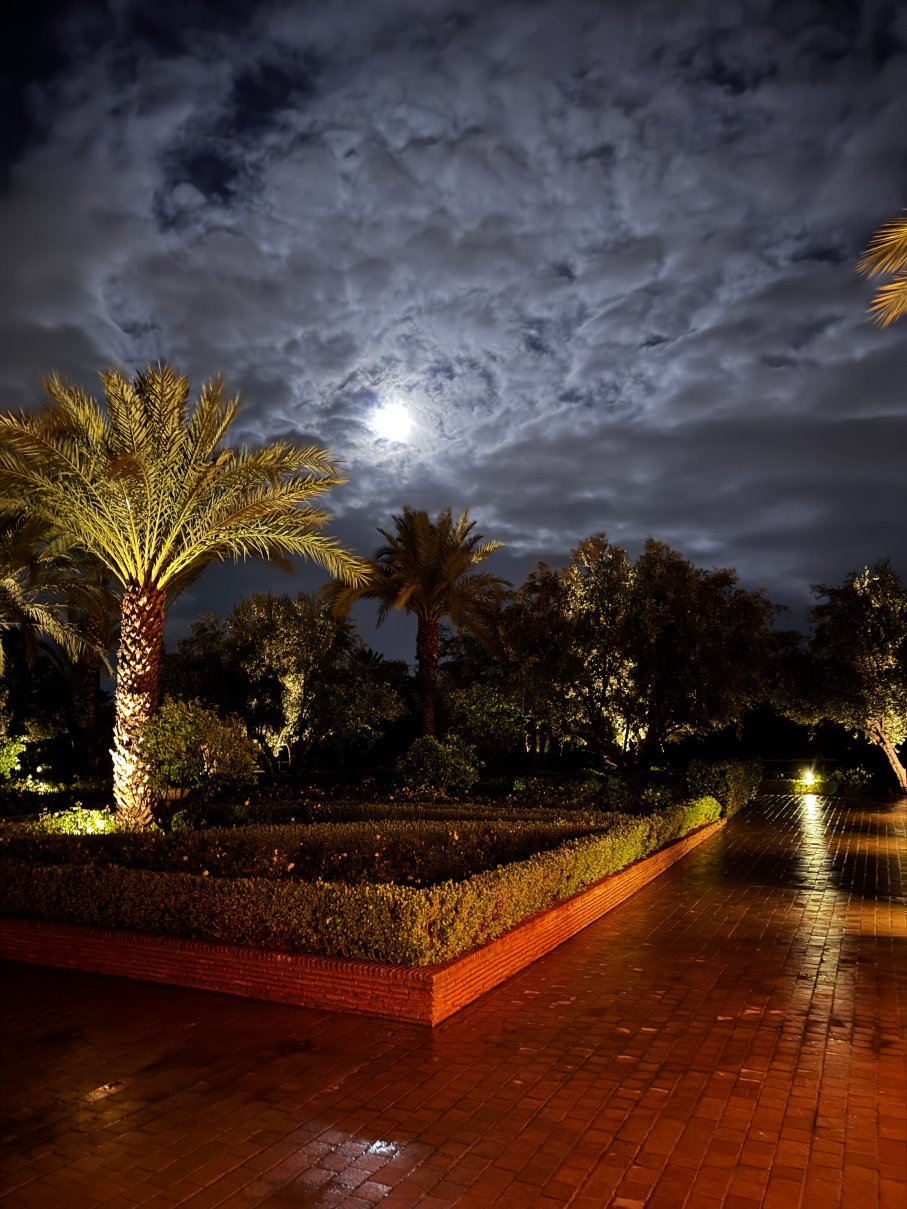 塞尔曼马拉喀什酒店-官方