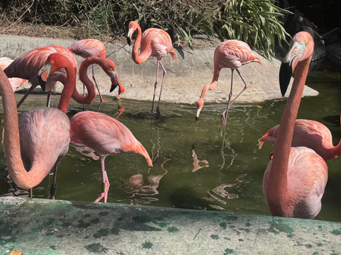 Zoologico de Vallarta-Mismaloya必去景点