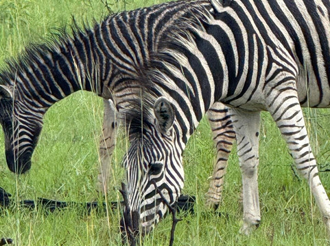 Loisico Tours and Excursions-Bloubergstrand必去景点