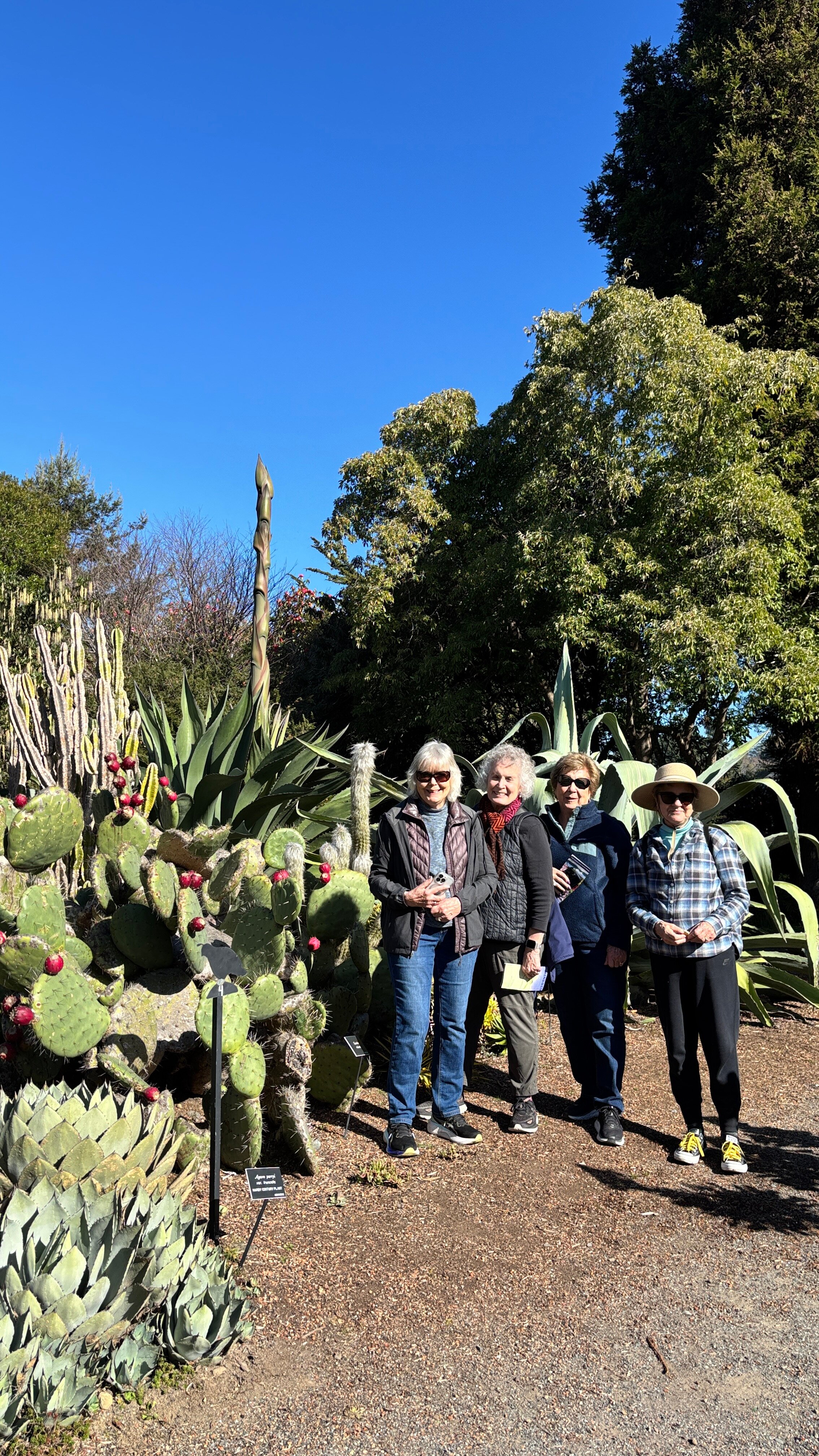 Little River Inn-官方