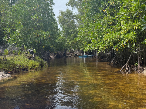 Bwejuu Mangrove Tunnels Kayak-必韦久必去景点