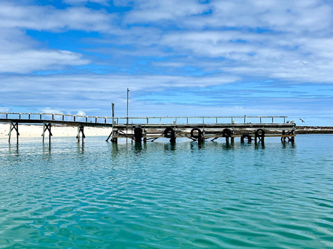 Cape Coast Expeditions-Yzerfontein必去景点