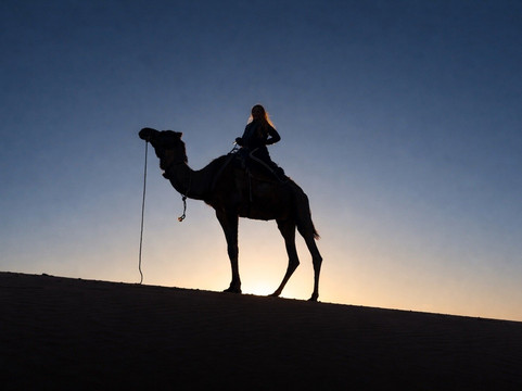 Moroccan Tours-卡萨布兰卡必去景点