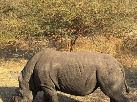 Riu Baobab Trip Travel-Nianing必去景点